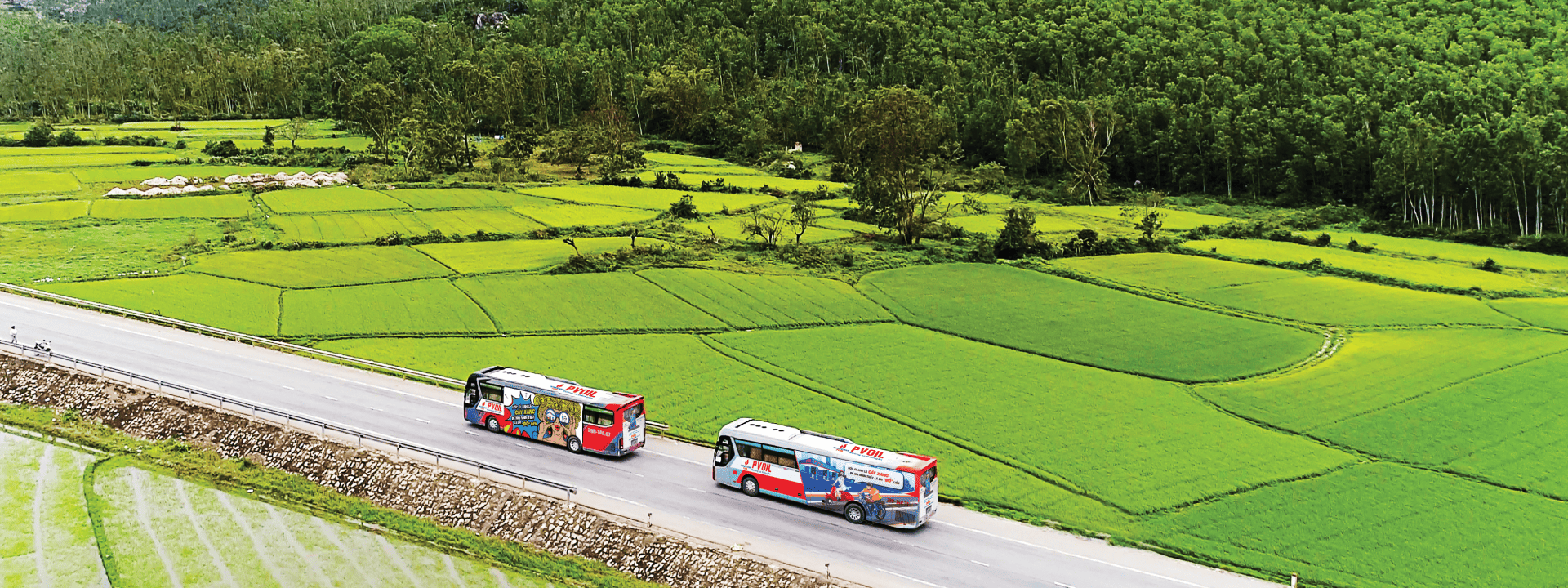 Lĩnh vực hoạt động