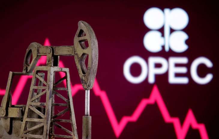 Bản tin Dầu khí 29/1: OPEC giữ 1,3 tỷ thùng dầu để ổn định giá