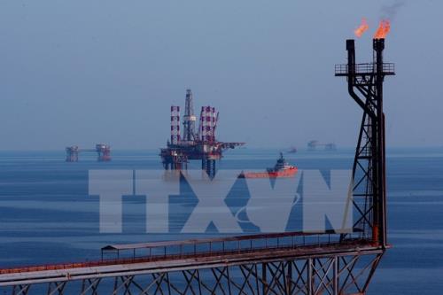 Giá dầu châu Á đi lên trước thềm cuộc họp của OPEC