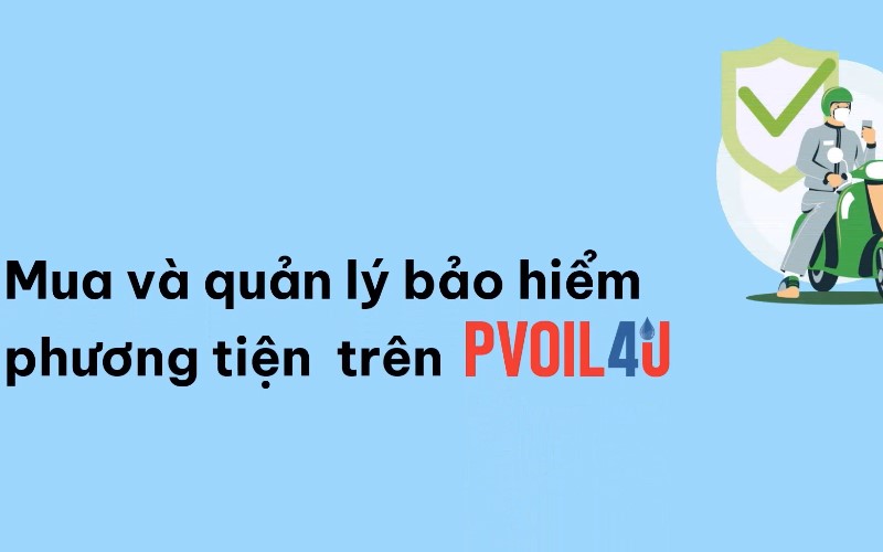 Hướng dẫn sử dụng